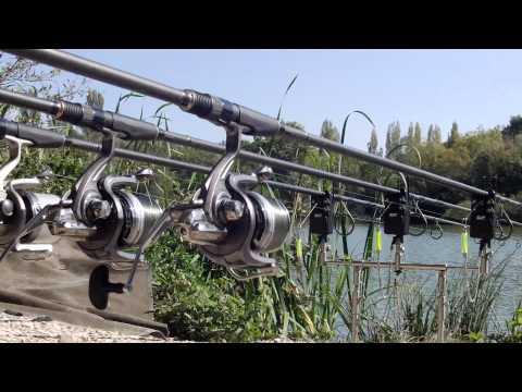 Adunate! - carp-run.jpg